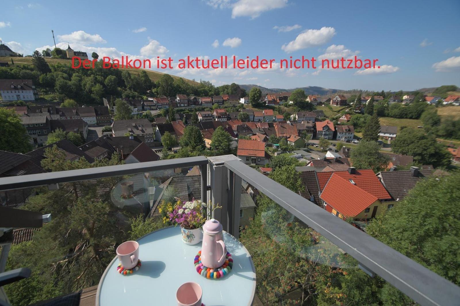 Schoenblick Sankt Andreasberg Eksteriør billede